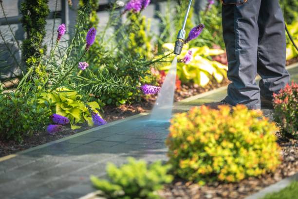 Best Building Exterior Pressure Washing in Ellettsville, IN